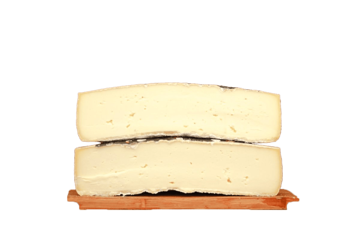Bergkäse Tuma - italianfoodexplorers